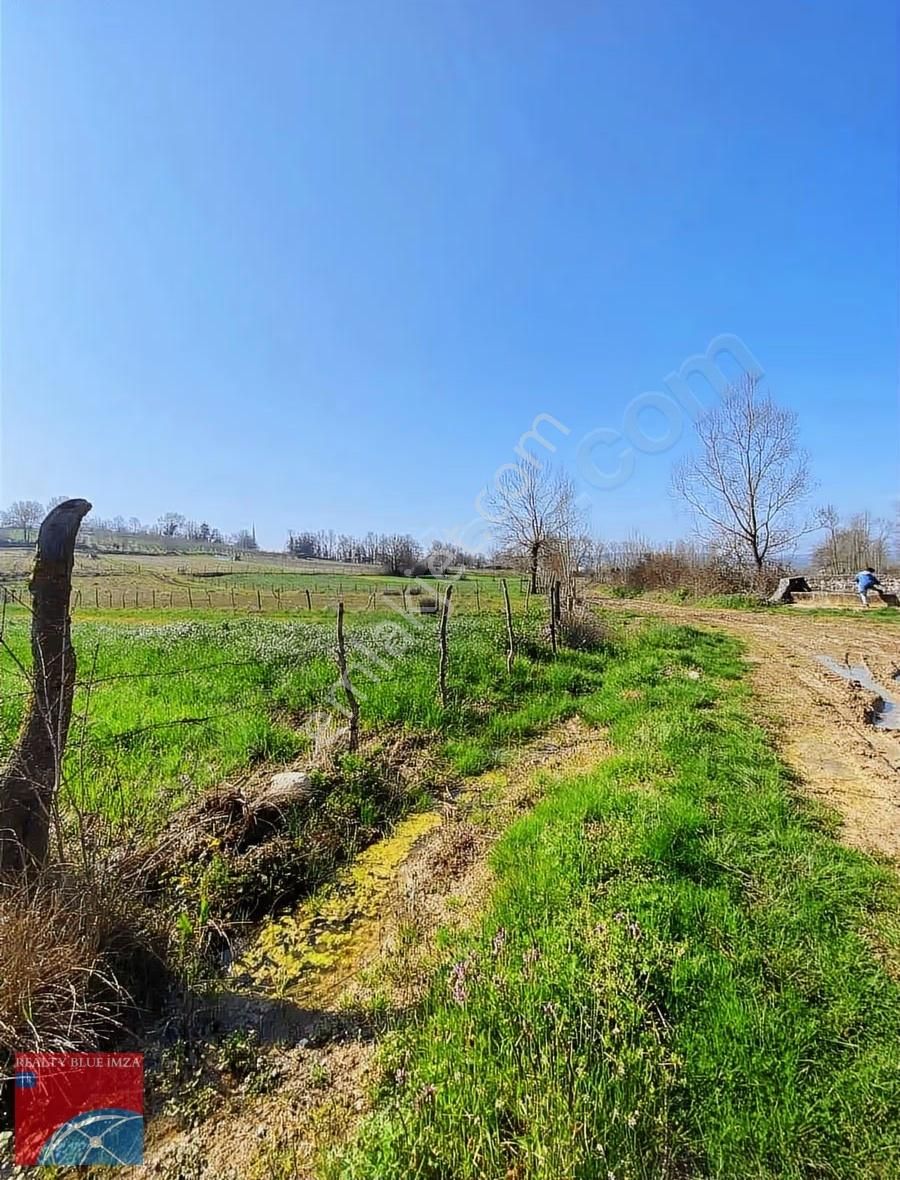 Lokmanlıda Köye Yakın Yola Cephe Satılık Fırsat Tarla 1727m2 - Görsel 6