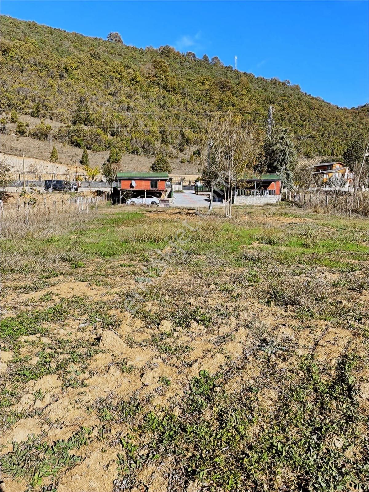 Ağva'nın En Güzel Bölgelerinden Bucaklı Da 1.610m2 Cd Üstü - Görsel 4