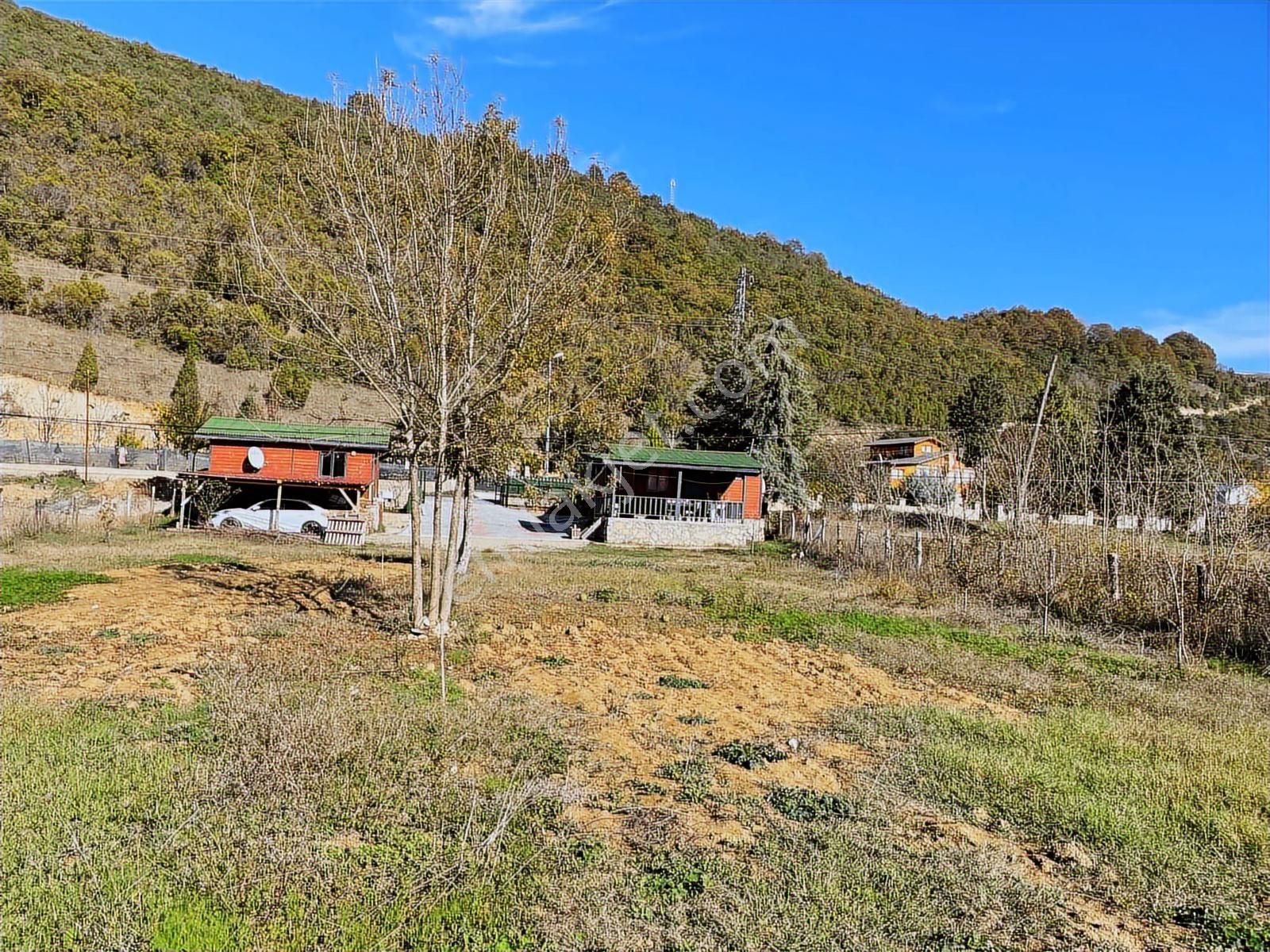 Ağva'nın En Güzel Bölgelerinden Bucaklı Da 1.610m2 Cd Üstü - Görsel 22