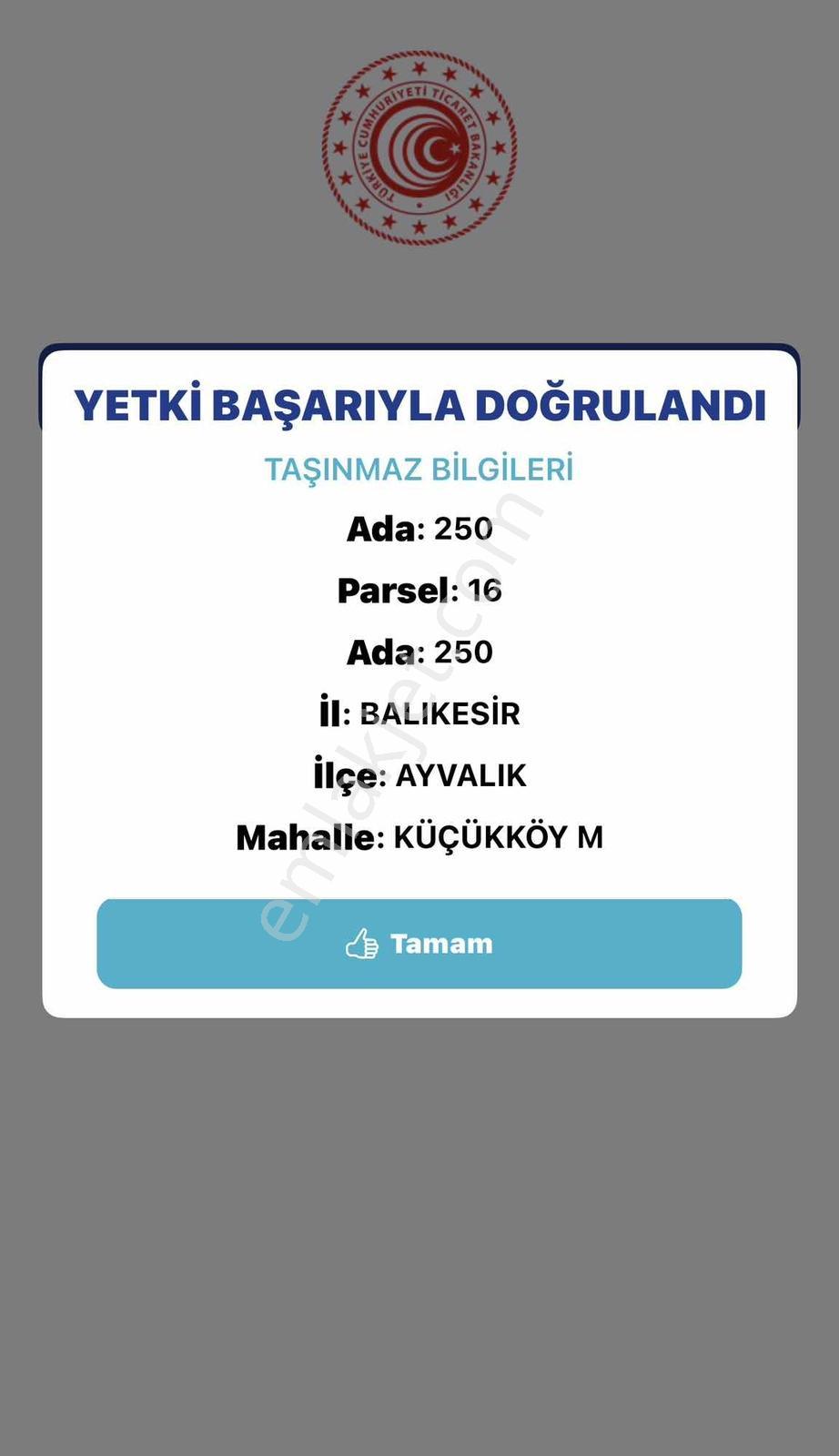 Ayvalık Küçükköy Merkezinde Emsalsiz Yatırım Fırsatı Arsa - Görsel 3