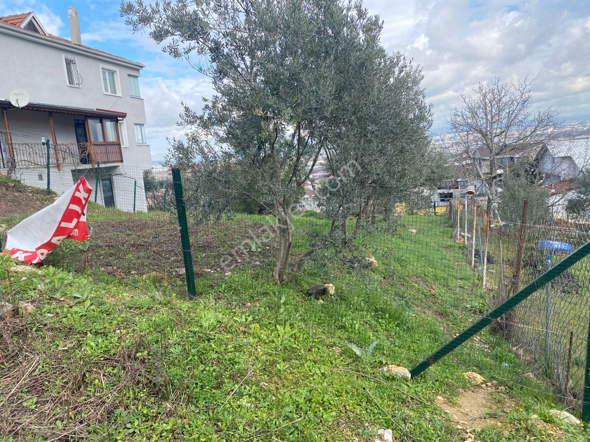 Çalı Gümüşlük'te 427m2 2.5 Kat İmarlı Manzaralı Fırsat Arsası... - Görsel 5