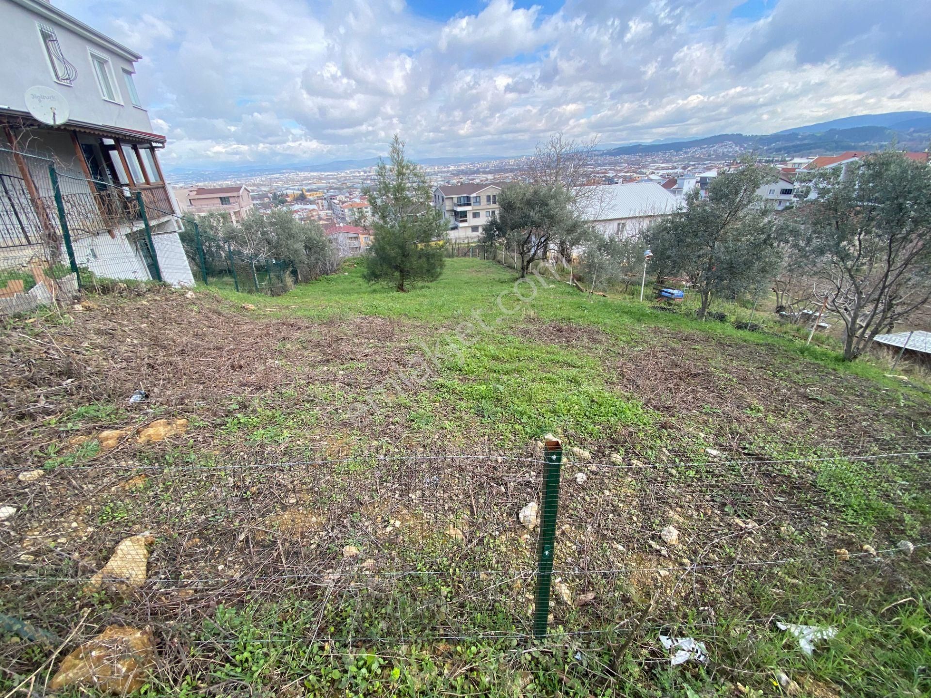 Çalı Gümüşlük'te 427m2 2.5 Kat İmarlı Manzaralı Fırsat Arsası... - Görsel 4