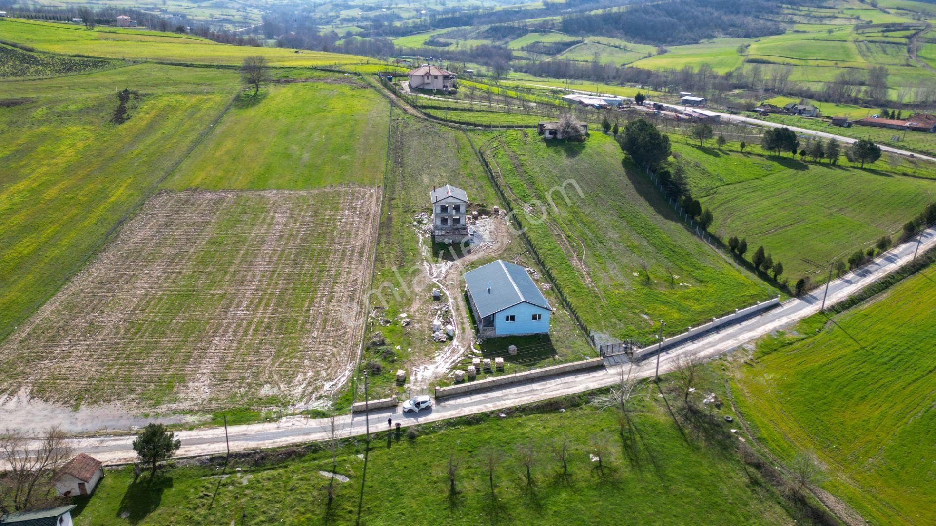 Uzmanlar'dan Karamürsel Valideköprü Satılık 4537 M2 Çiftlik - Görsel 11