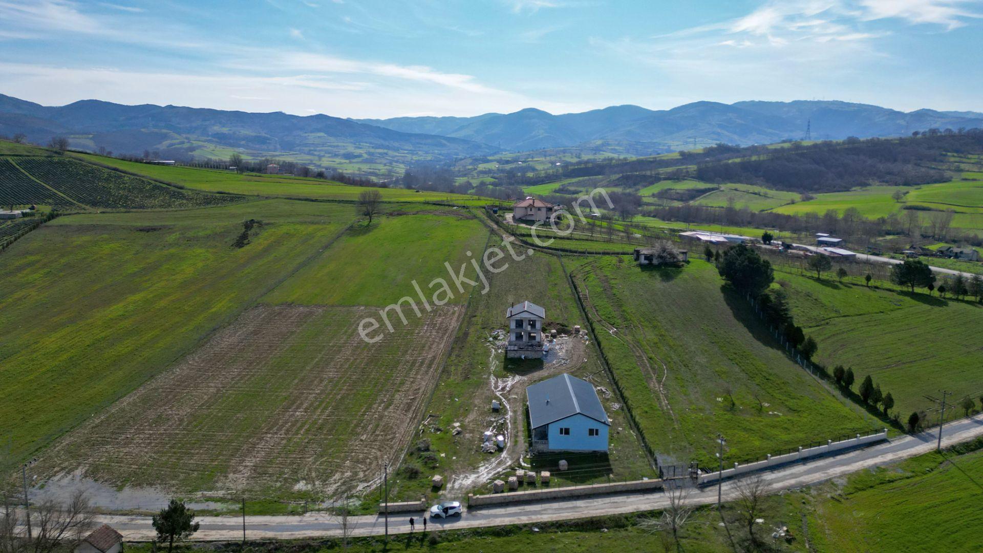 Uzmanlar'dan Karamürsel Valideköprü Satılık 4537 M2 Çiftlik - Görsel 2
