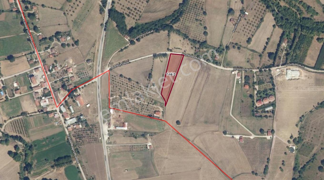 Uzmanlar'dan Karamürsel Valideköprü Satılık 4537 M2 Çiftlik - Görsel 14