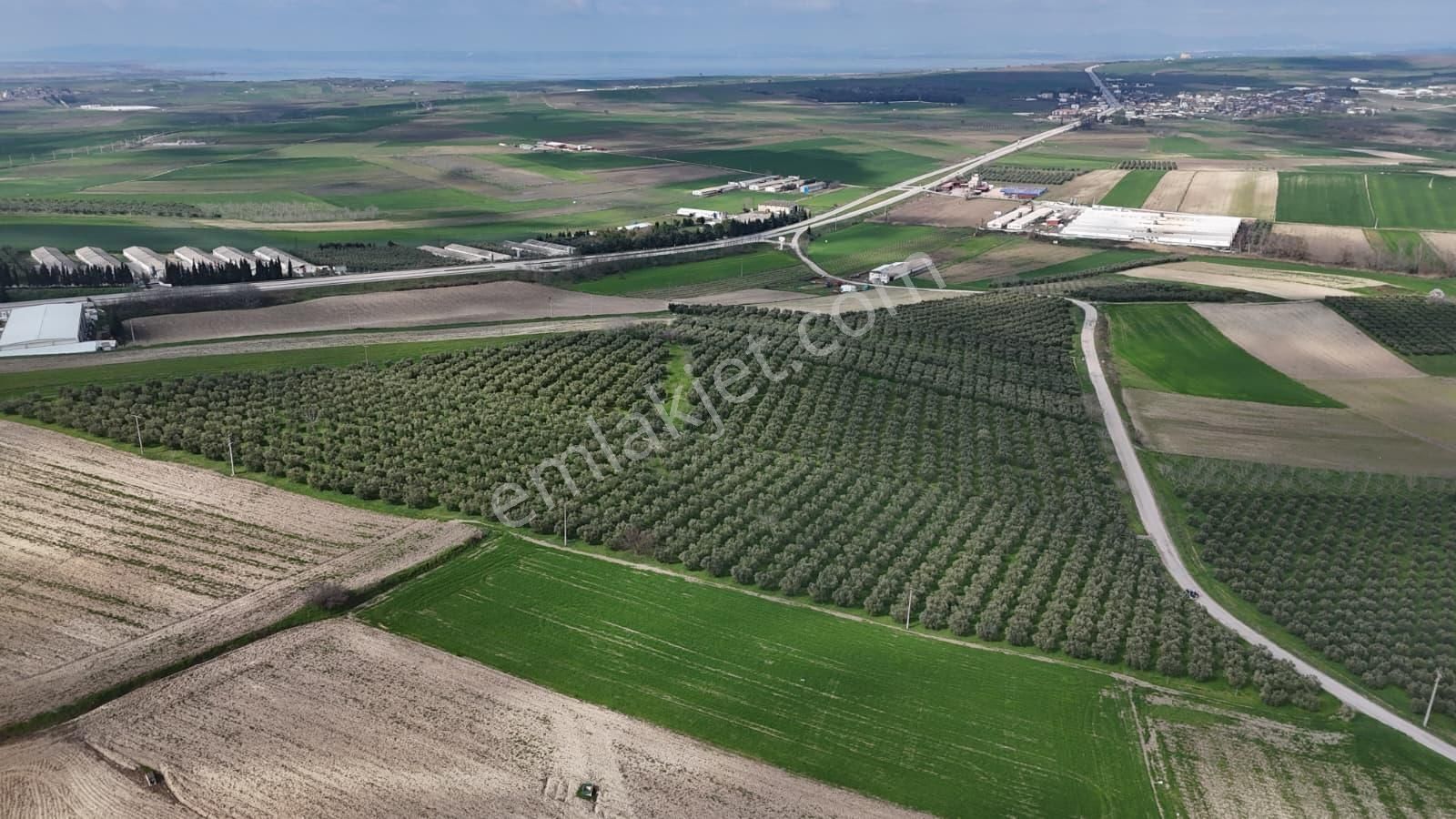 Çalışkanlar Gyo'dan Aksakalda Satılık 25 Dönüm Satılık Arazi - Görsel 11
