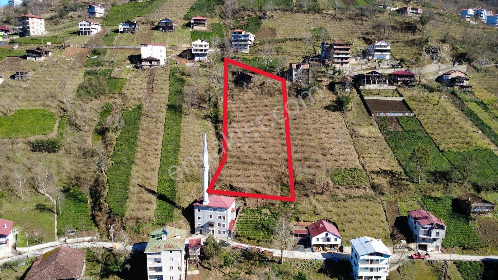Trabzon Dernekpazarında Satılık Müstakil Ev - Görsel 6