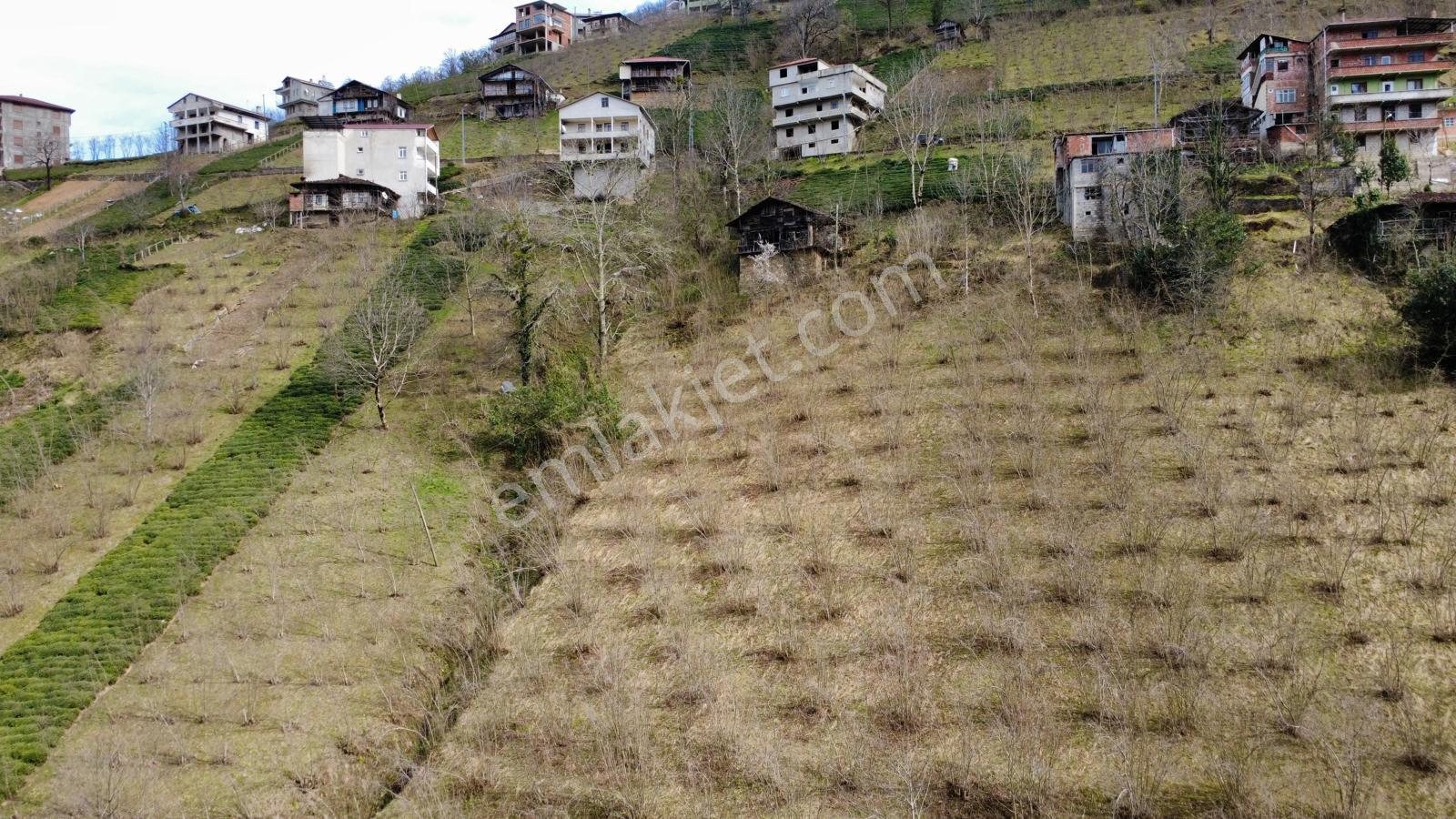 Trabzon Dernekpazarında Satılık Müstakil Ev - Görsel 16