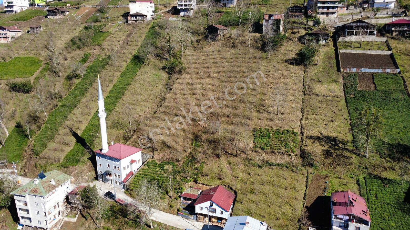Trabzon Dernekpazarında Satılık Müstakil Ev - Görsel 23