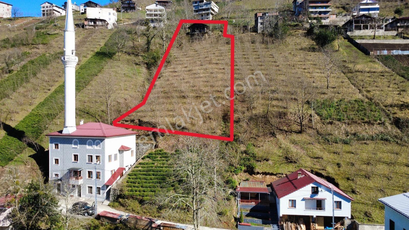 Trabzon Dernekpazarında Satılık Müstakil Ev - Görsel 8