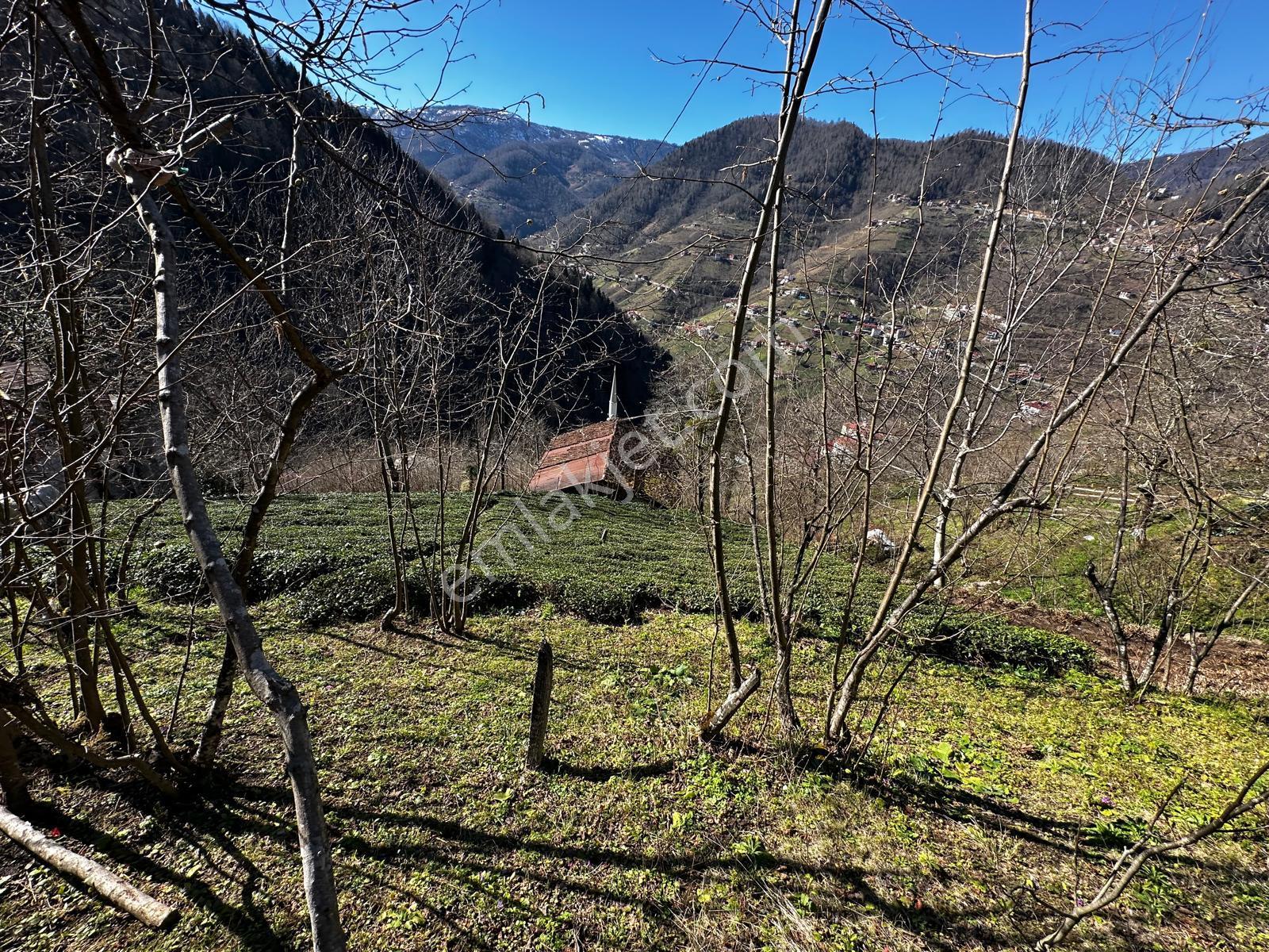 Trabzon Dernekpazarında Satılık Müstakil Ev - Görsel 9