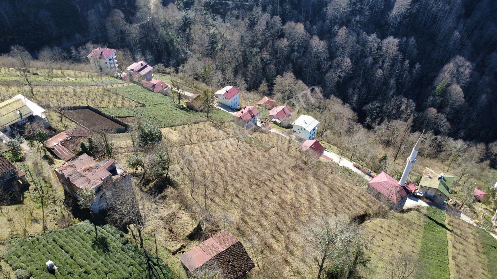 Trabzon Dernekpazarında Satılık Müstakil Ev - Görsel 28
