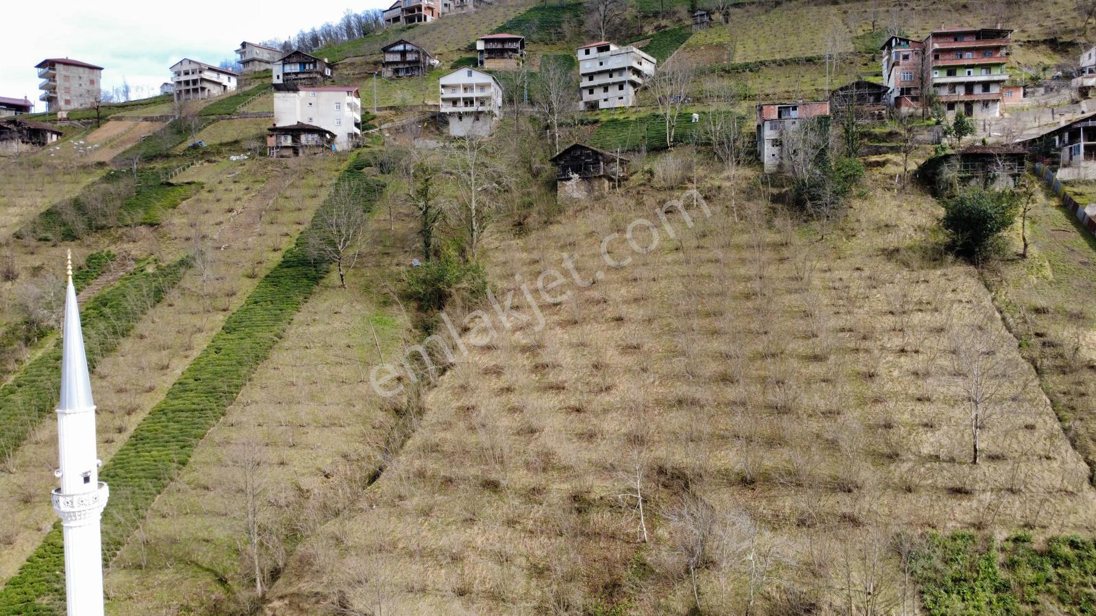 Trabzon Dernekpazarında Satılık Müstakil Ev - Görsel 15