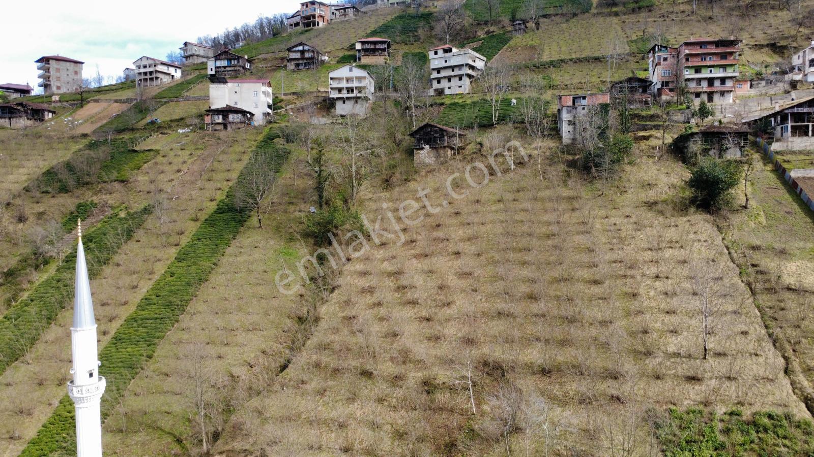 Trabzon Dernekpazarında Satılık Müstakil Ev - Görsel 13