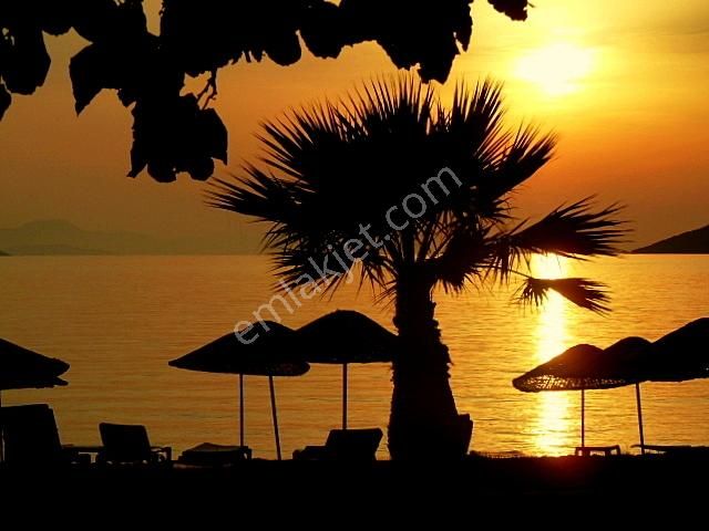 Adabükü Plajlı Site Ön Sıra Deniz Manzaralı 400m2 Bahçeli Villa - Görsel 3