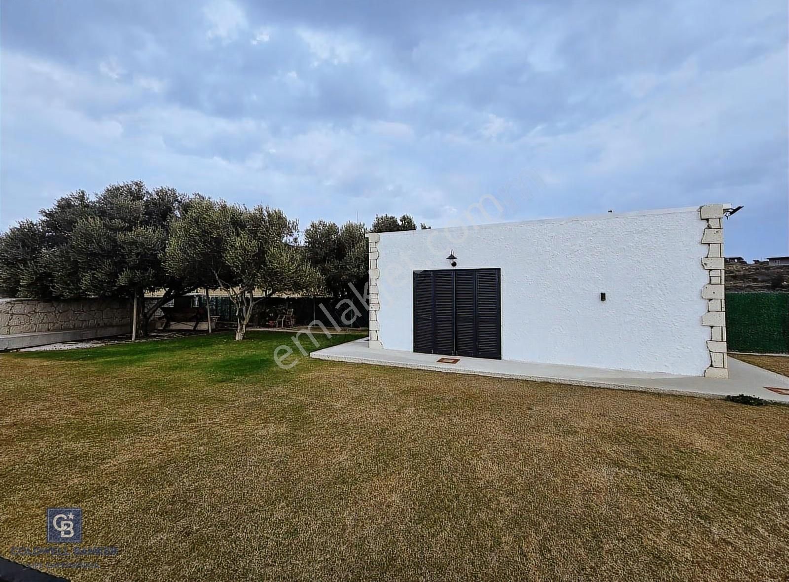 Çeşme Çakabey De Satılık Bağ & Zeytinlik - Yatırım Fırsatı - Görsel 2