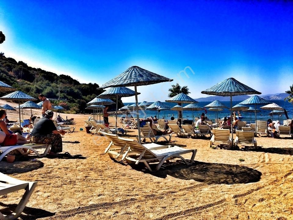 Bodrum Kumsal Plajlı Sitede Bahçeli Yeni Sıfır Modern Villa - Görsel 2