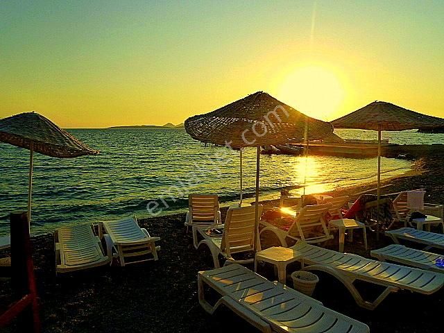 Adabükü Holiday Resort'ta Büyük Köşe Bahçeli Eşyalı Daire - Görsel 3