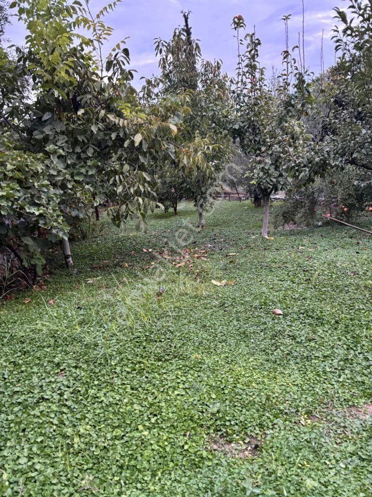 Kuşadası Kirazlı Mahallesi Satılık 4+1 Havuzlu Müstakil Taş Ev - Görsel 12