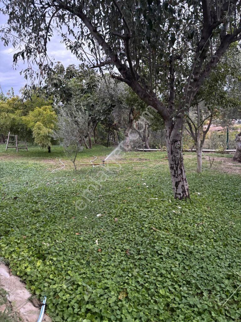 Kuşadası Kirazlı Mahallesi Satılık 4+1 Havuzlu Müstakil Taş Ev - Görsel 18