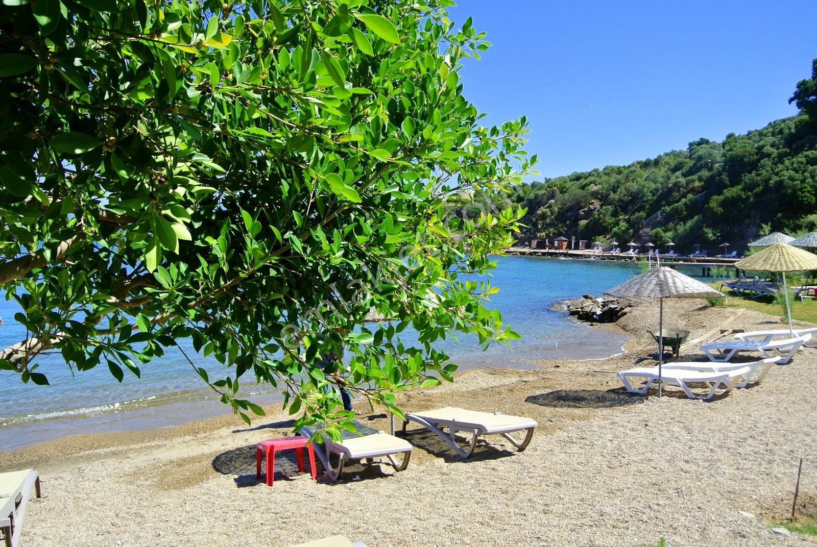 Bodrum Kumsal Plajlı Sitede Düzayak Köşe Bahçeli Müstakil Ev - Görsel 18