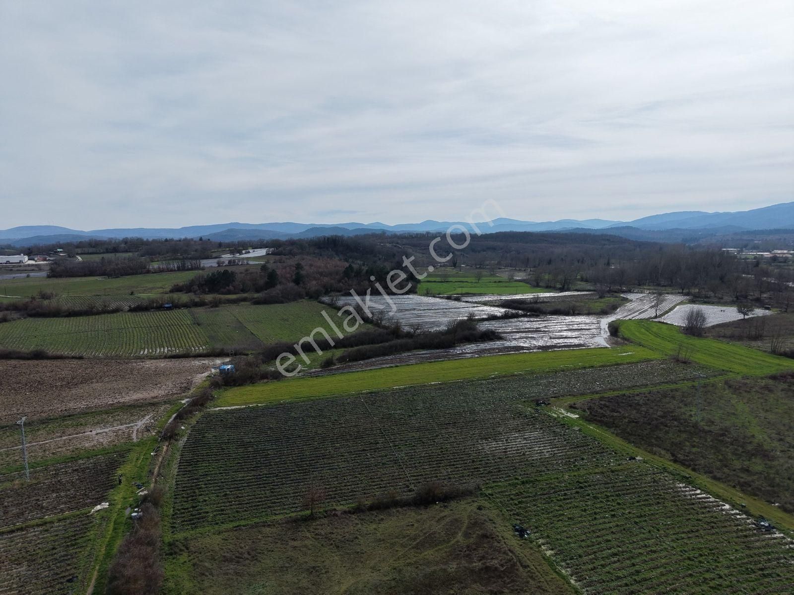 Çanakkale Yenice Kazdağlarının Dibinde 5.868 M² Çilek Tarlası - Görsel 2