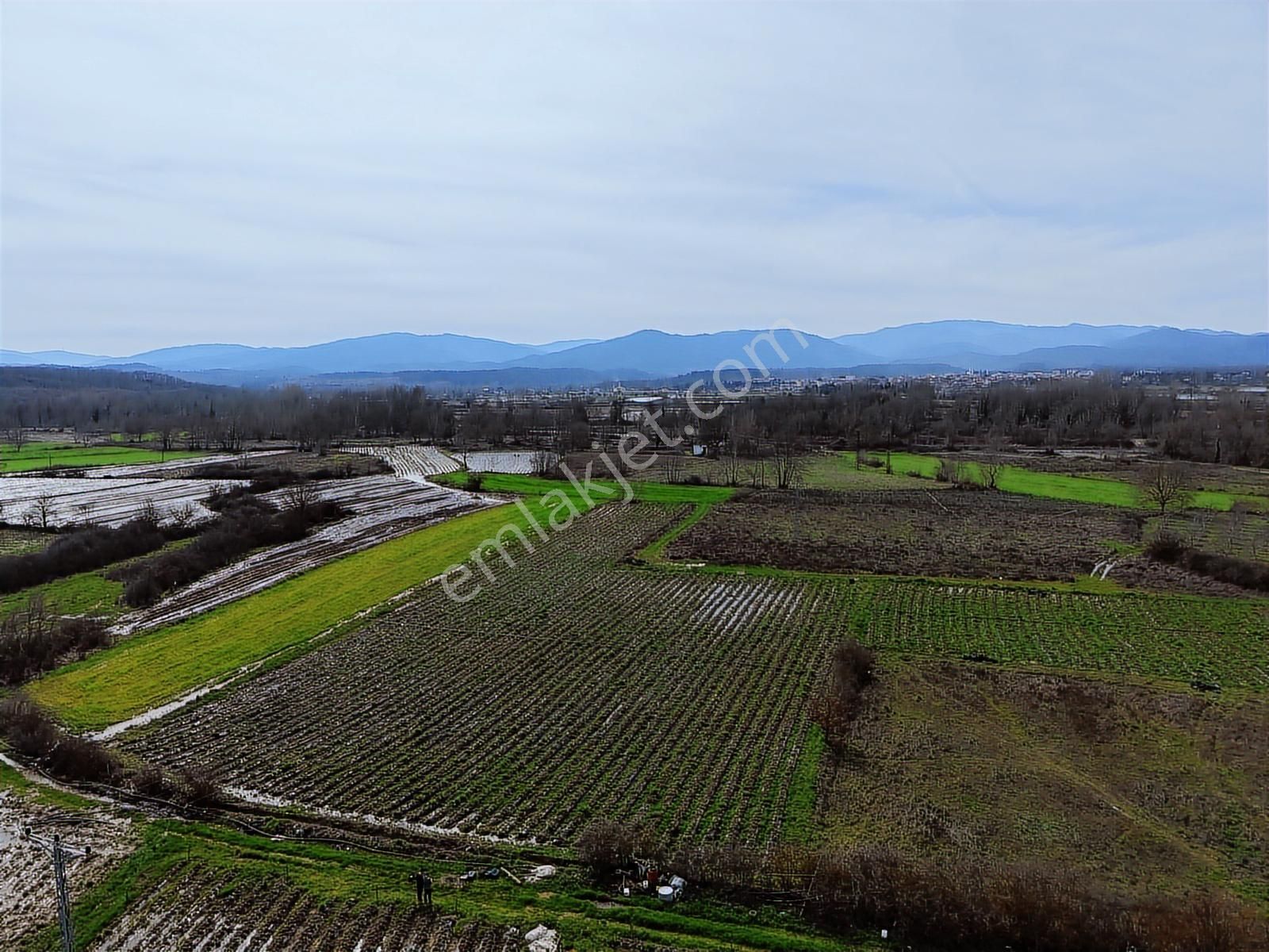 Çanakkale Yenice Kazdağlarının Dibinde 5.868 M² Çilek Tarlası - Görsel 31
