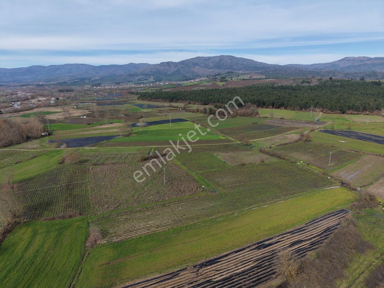 Çanakkale Yenice Kazdağlarının Dibinde 5.868 M² Çilek Tarlası - Görsel 26