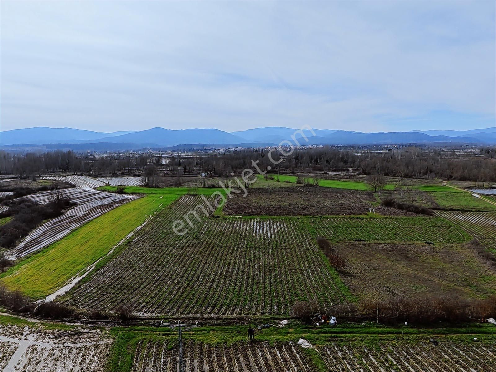 Çanakkale Yenice Kazdağlarının Dibinde 5.868 M² Çilek Tarlası - Görsel 28
