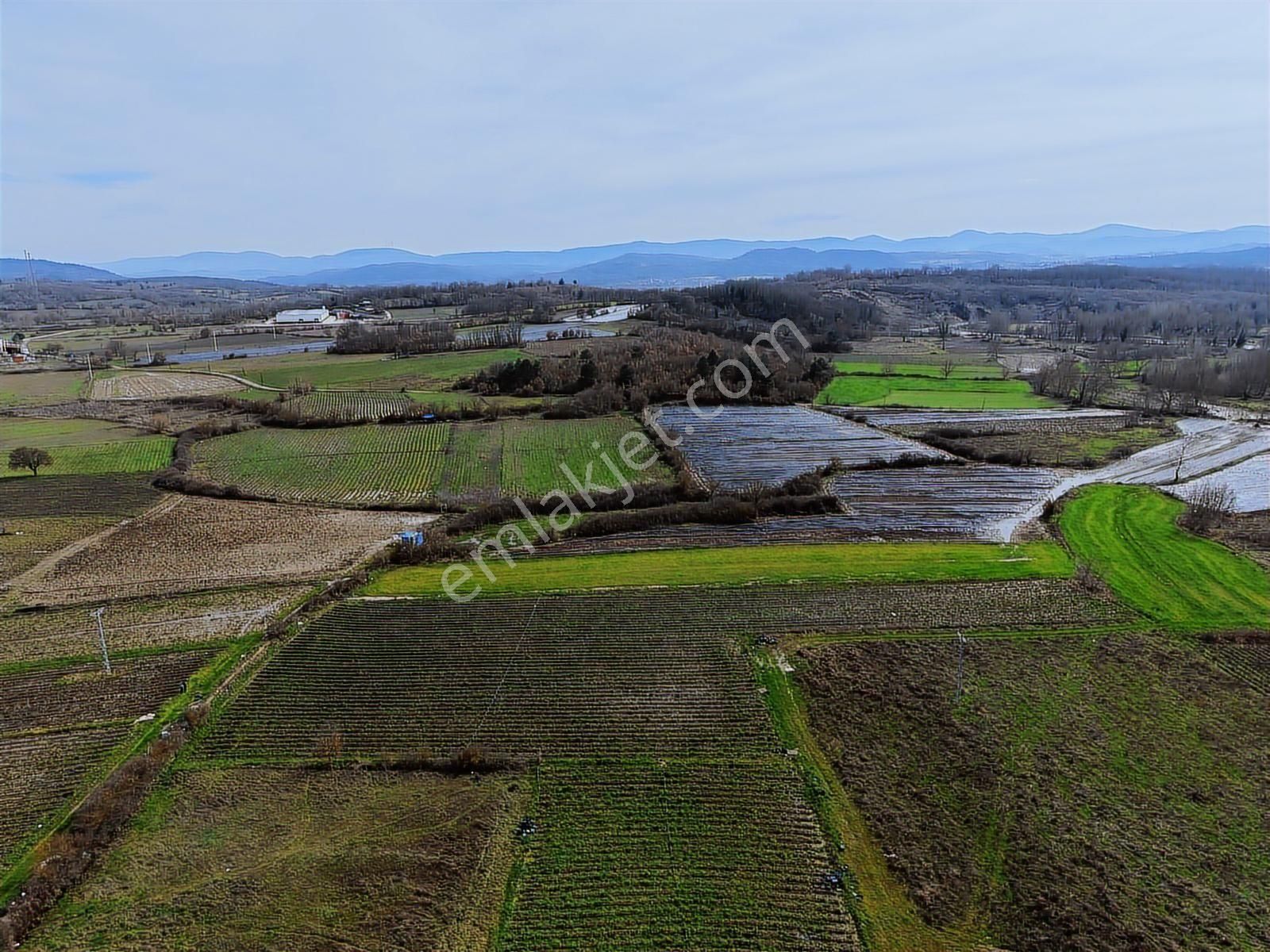 Çanakkale Yenice Kazdağlarının Dibinde 5.868 M² Çilek Tarlası - Görsel 29