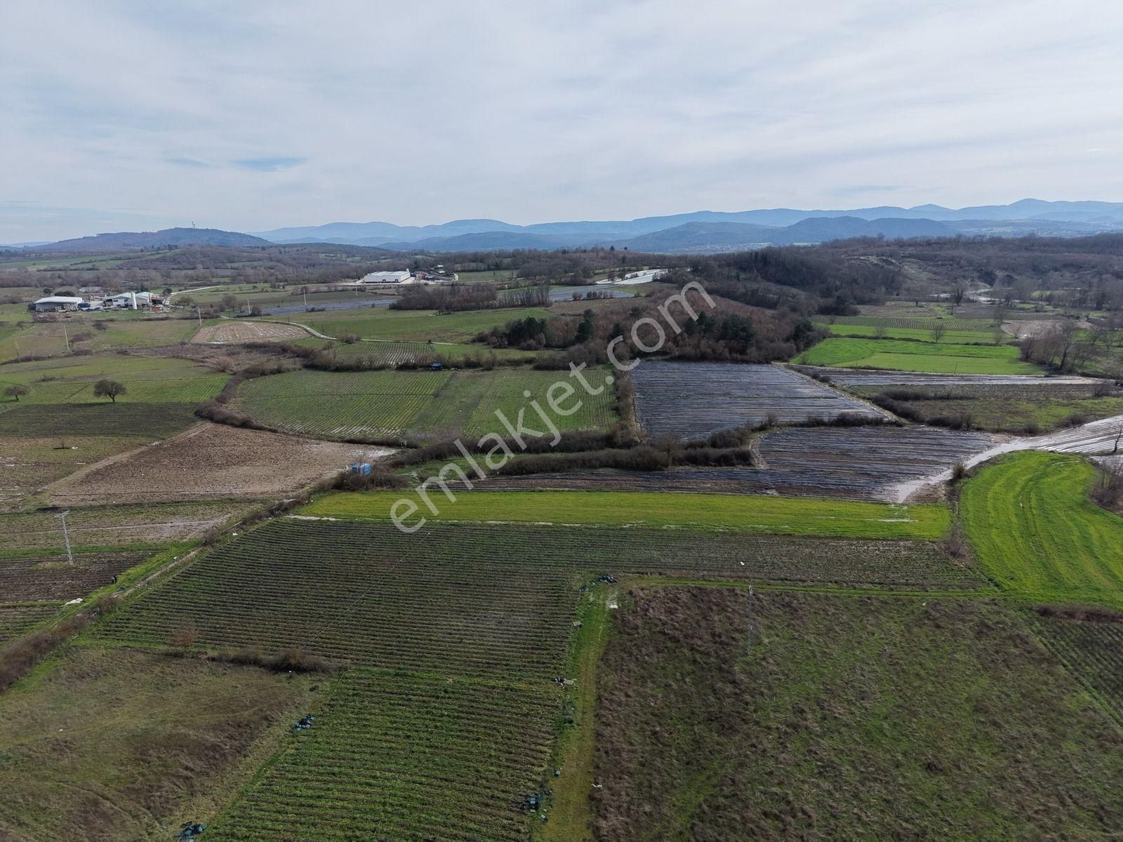 Çanakkale Yenice Kazdağlarının Dibinde 5.868 M² Çilek Tarlası - Görsel 5