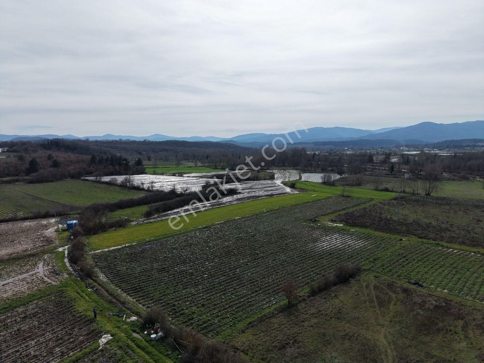 Çanakkale Yenice Kazdağlarının Dibinde 5.868 M² Çilek Tarlası - Görsel 23