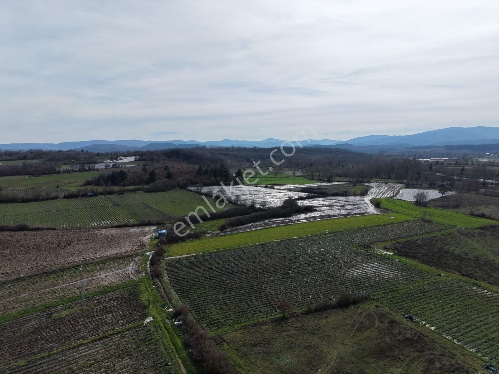 Çanakkale Yenice Kazdağlarının Dibinde 5.868 M² Çilek Tarlası - Görsel 33