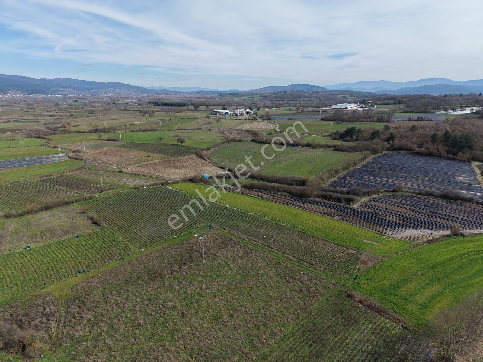 Çanakkale Yenice Kazdağlarının Dibinde 5.868 M² Çilek Tarlası - Görsel 22