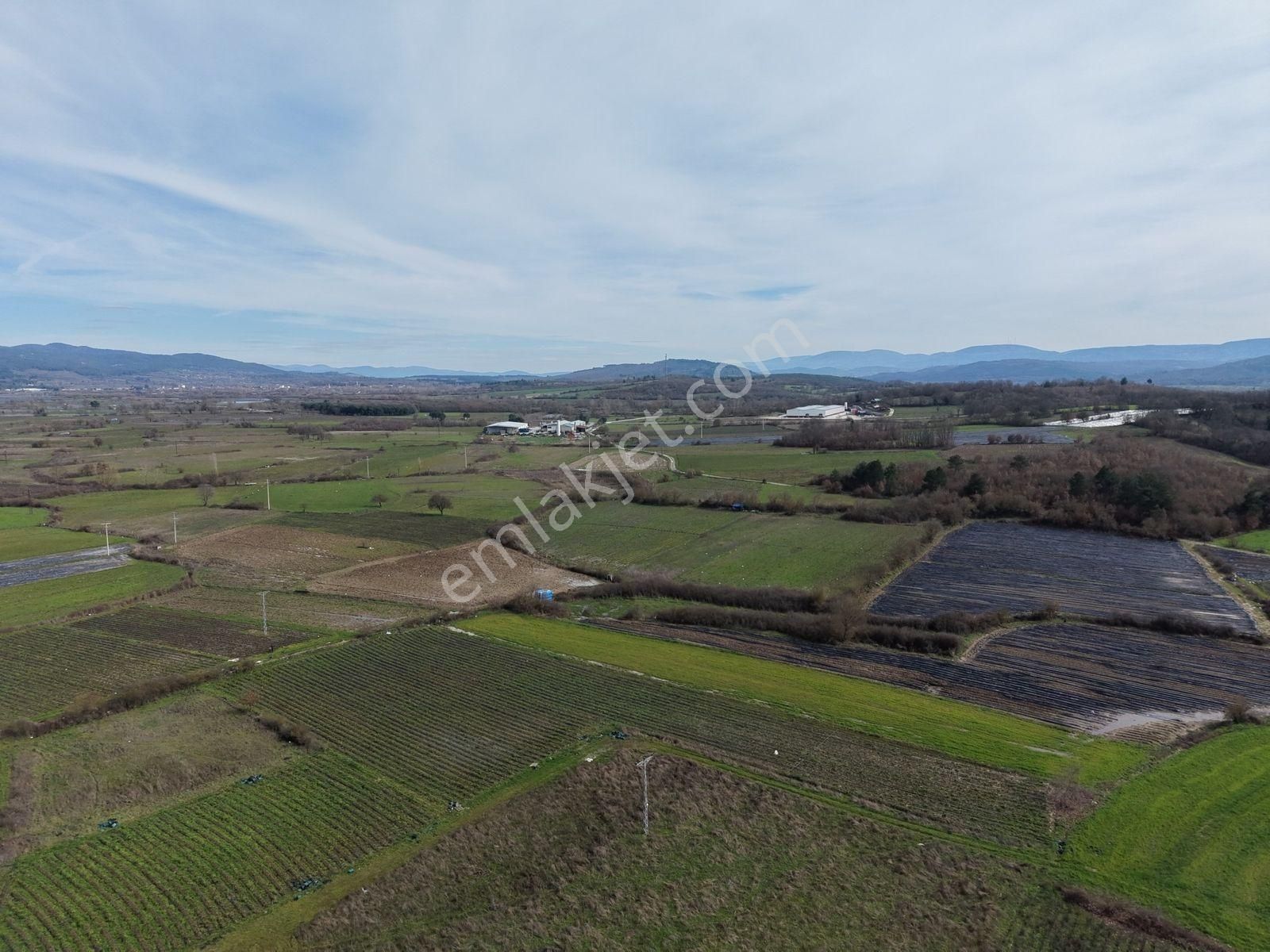 Çanakkale Yenice Kazdağlarının Dibinde 5.868 M² Çilek Tarlası - Görsel 24