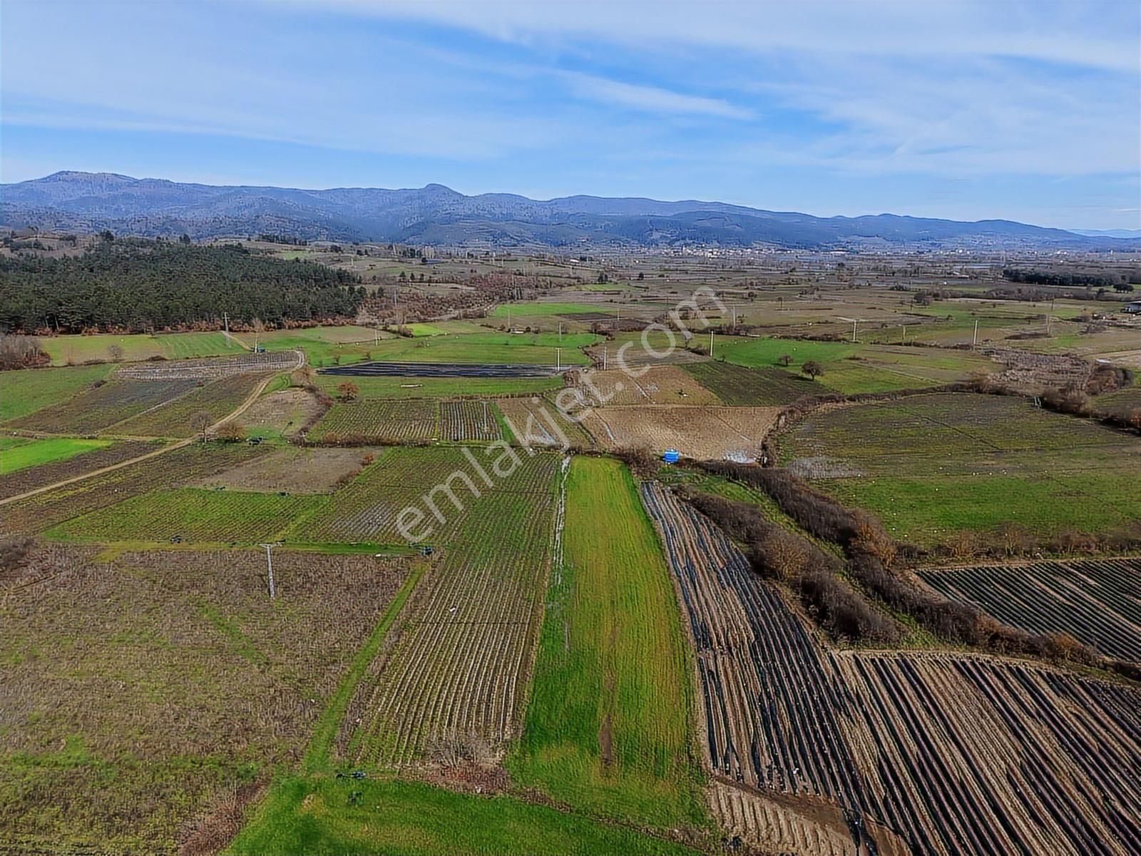 Çanakkale Yenice Kazdağlarının Dibinde 5.868 M² Çilek Tarlası - Görsel 32