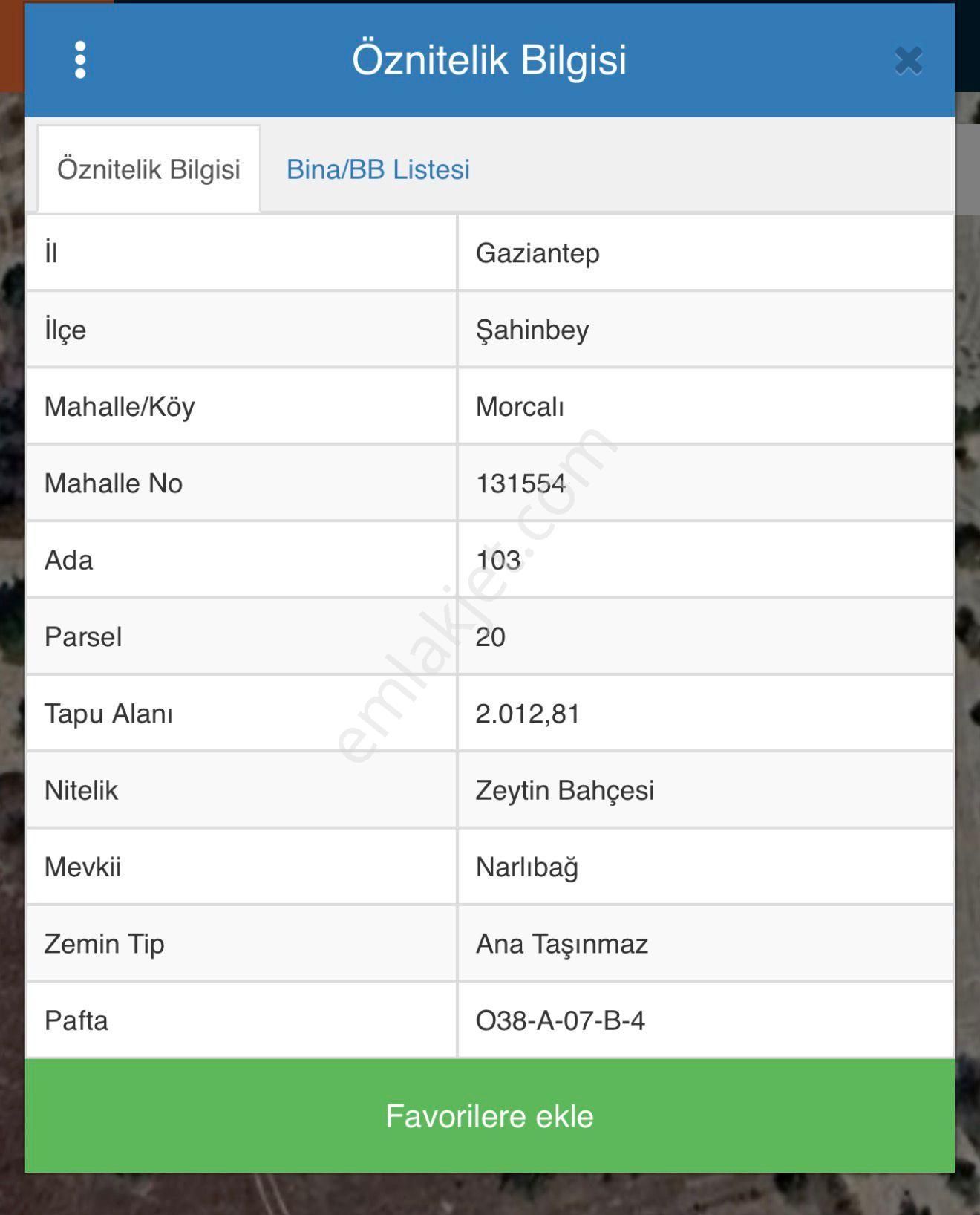 Gaziantep Morcalı Satılık Zeytinlik -yatırım Fırsatı - Görsel 6