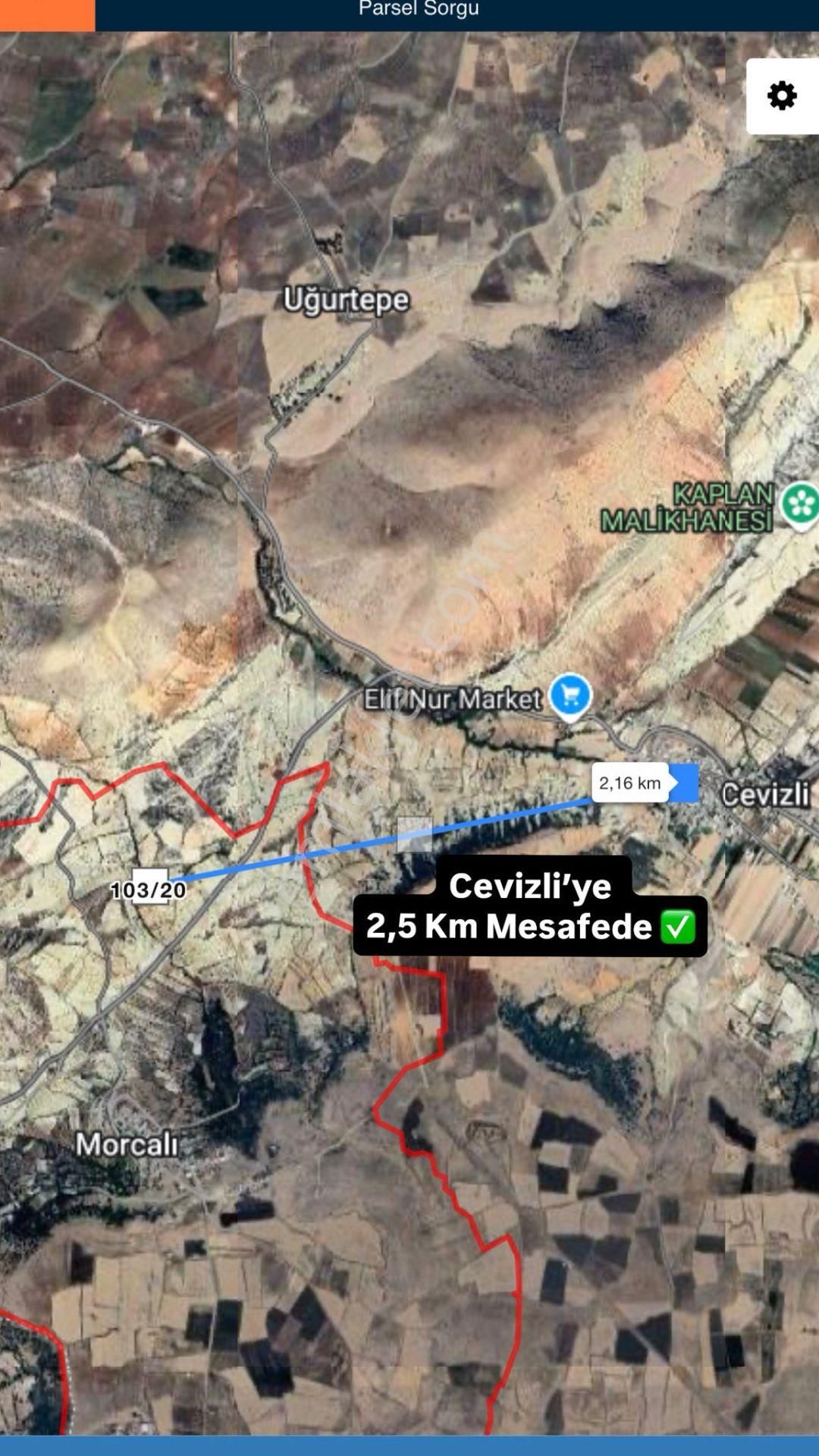 Gaziantep Morcalı Satılık Zeytinlik -yatırım Fırsatı - Görsel 5