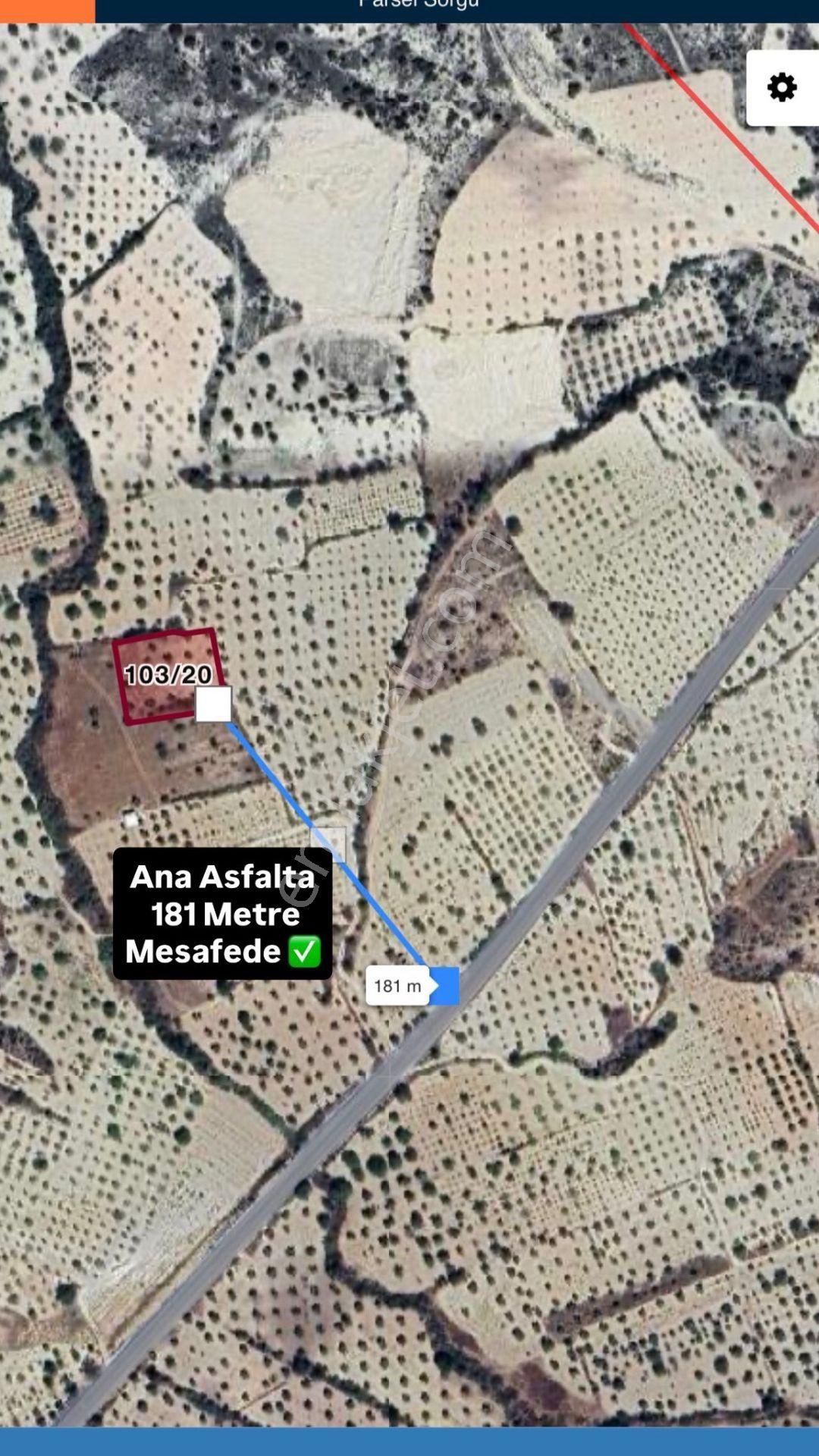 Gaziantep Morcalı Satılık Zeytinlik -yatırım Fırsatı - Görsel 3