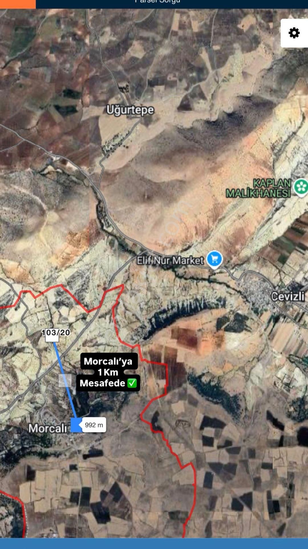 Gaziantep Morcalı Satılık Zeytinlik -yatırım Fırsatı