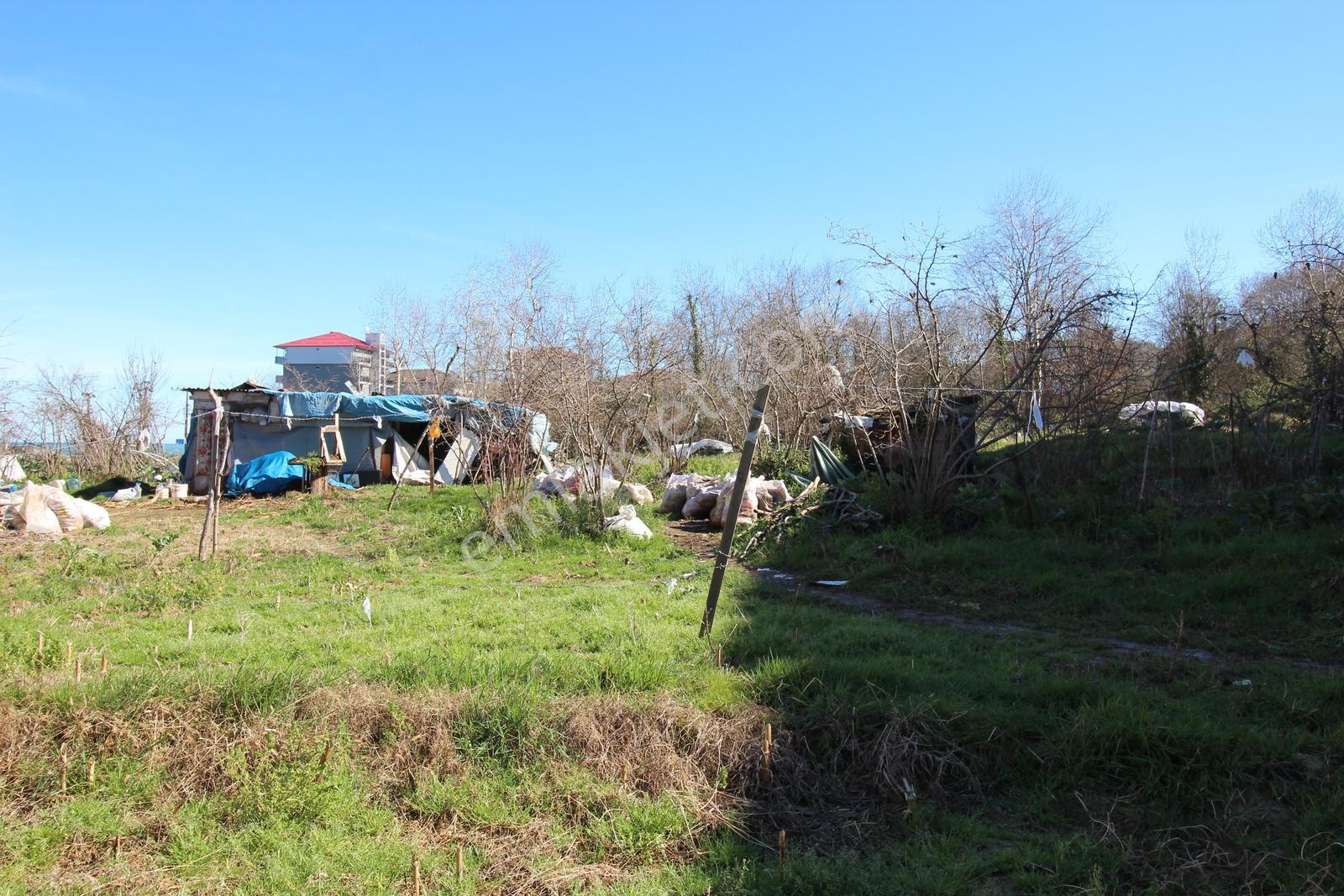 Kaçmaz Emlak'tan Trabzon Arsin Fatih Mah Satılık Arsa - Görsel 8