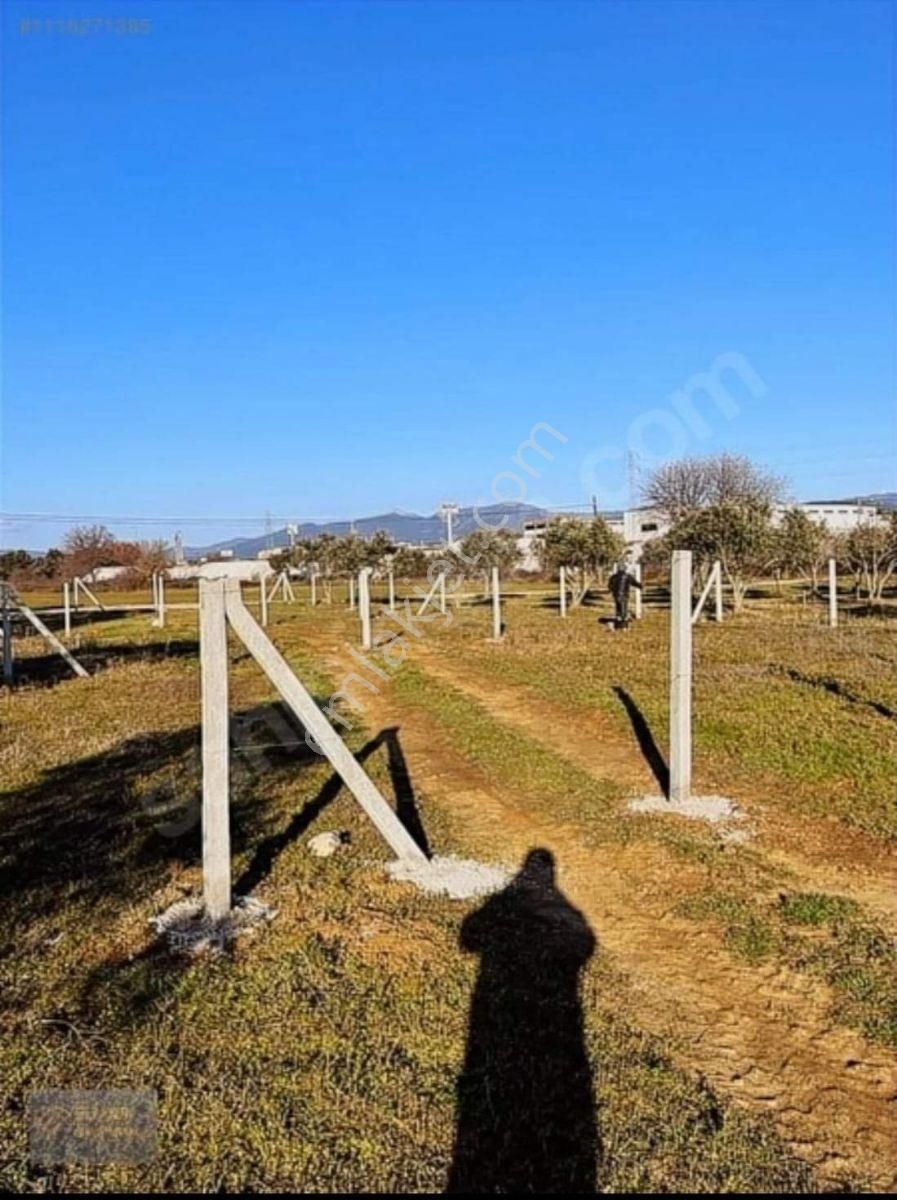 Torbalı-kemalpaşa Ana Yoluna 50 M Resmi Tapulu Satılık Arsa.....