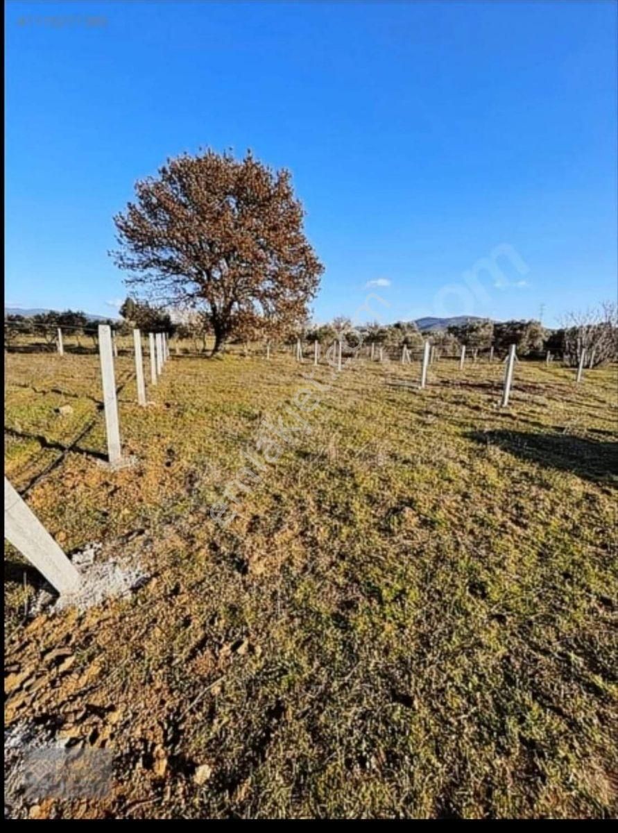 Torbalı-kemalpaşa Ana Yoluna 50 M Resmi Tapulu Satılık Arsa..... - Görsel 4
