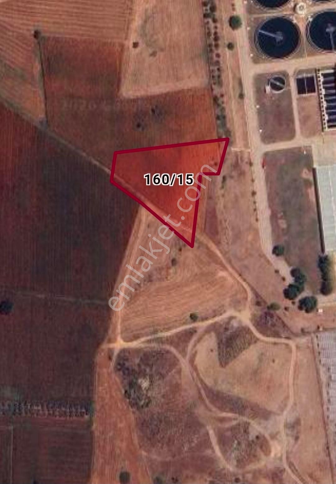 Karaisalı Sadıkali De Satılık Tek Tapu Tarla