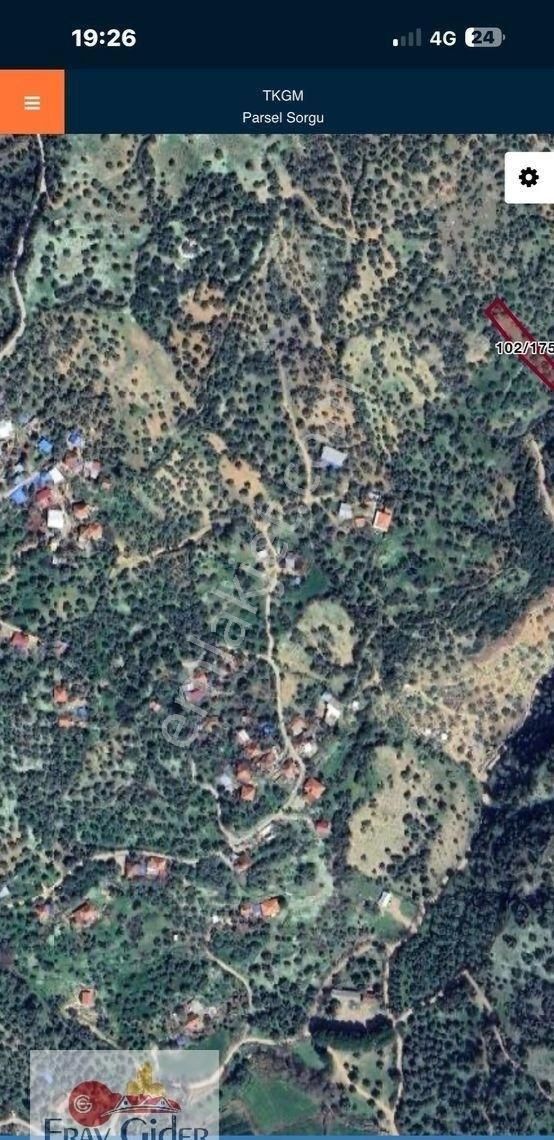 Dikili Ağacım Olsun Diyene-1 Dönüm Yolu Var. Zeytinlik - Görsel 10