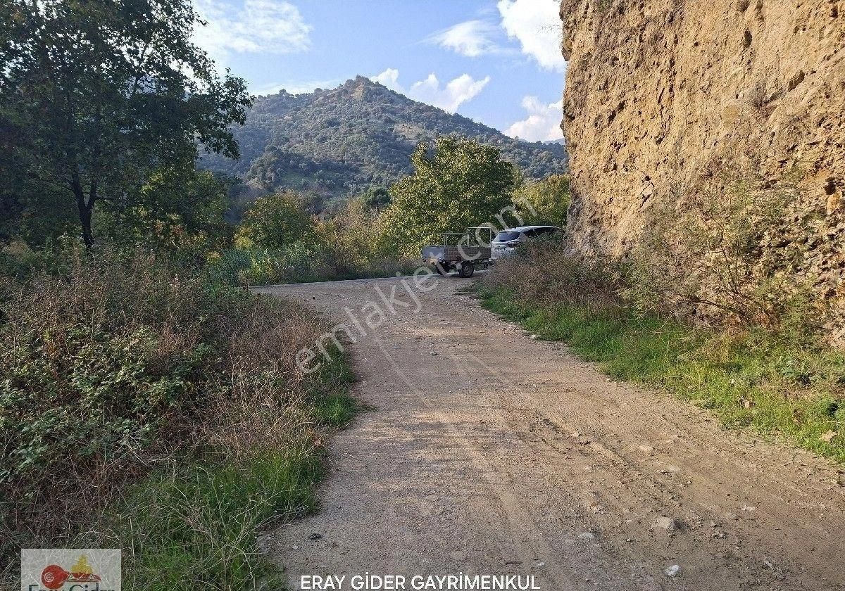 10 Dönüm Zeytinlik - Görsel 12