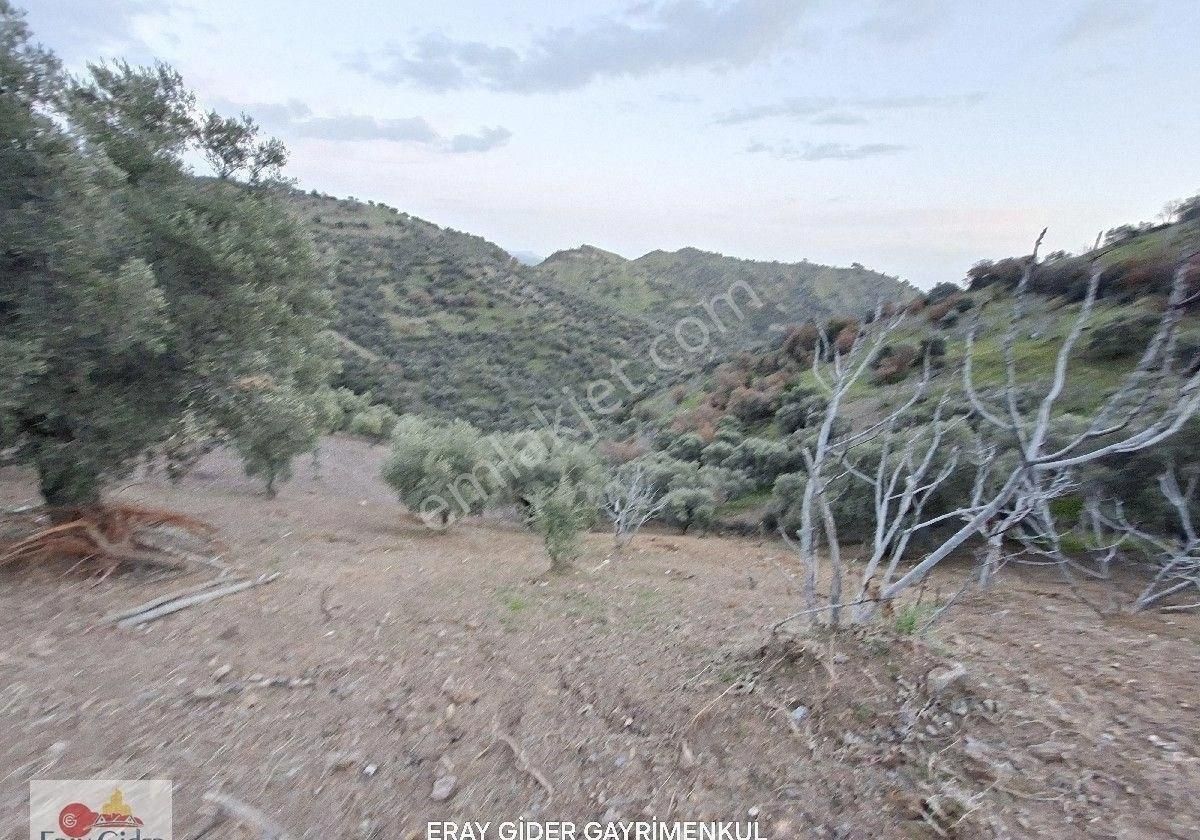 Manzaralı-komple Yol Cepheli Komple Bakımlı İncirlik - Görsel 8