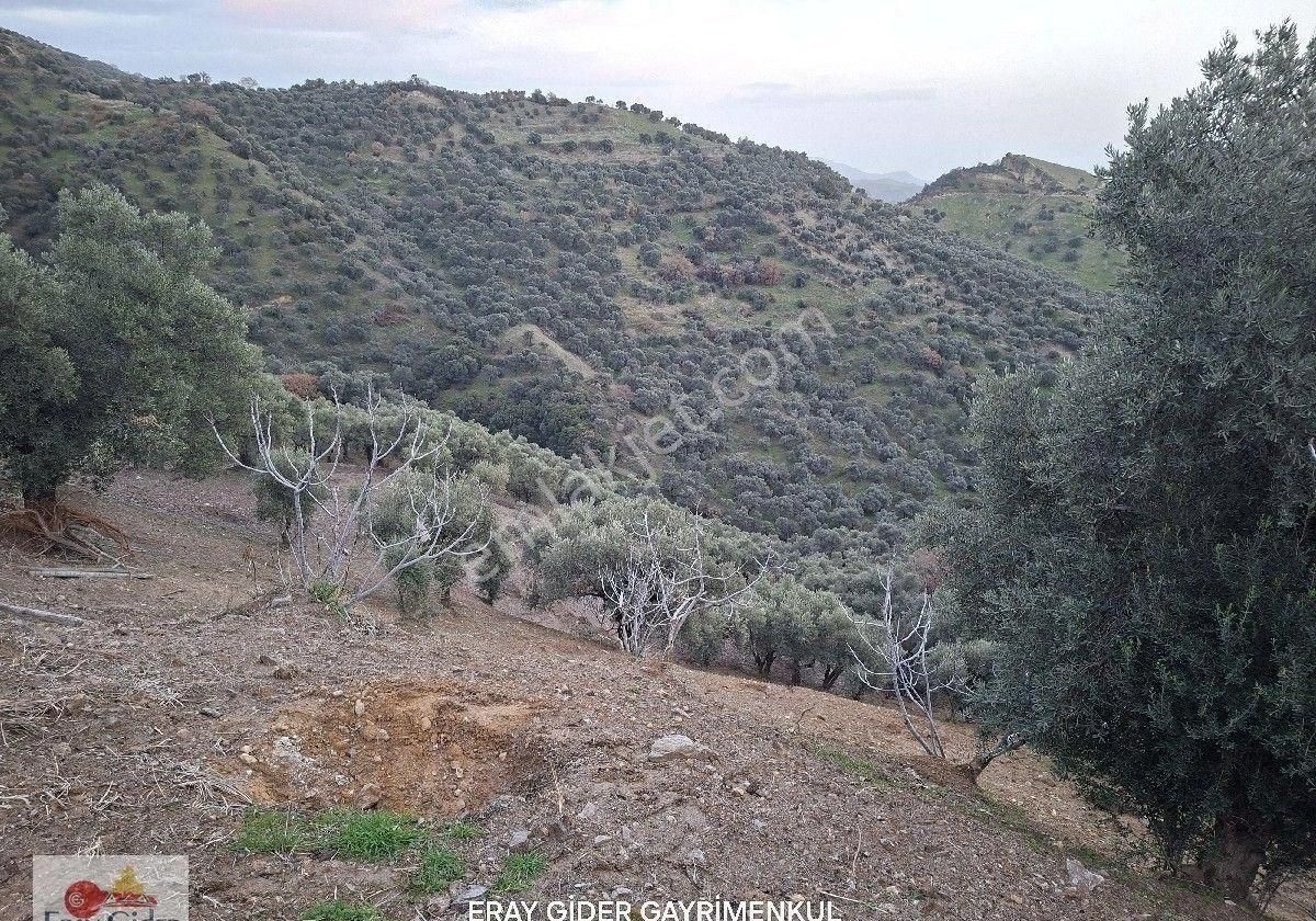 Manzaralı-komple Yol Cepheli Komple Bakımlı İncirlik - Görsel 12