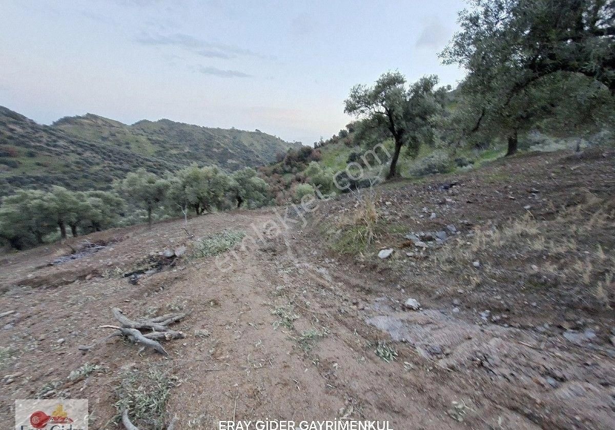 Manzaralı-komple Yol Cepheli Komple Bakımlı İncirlik - Görsel 6
