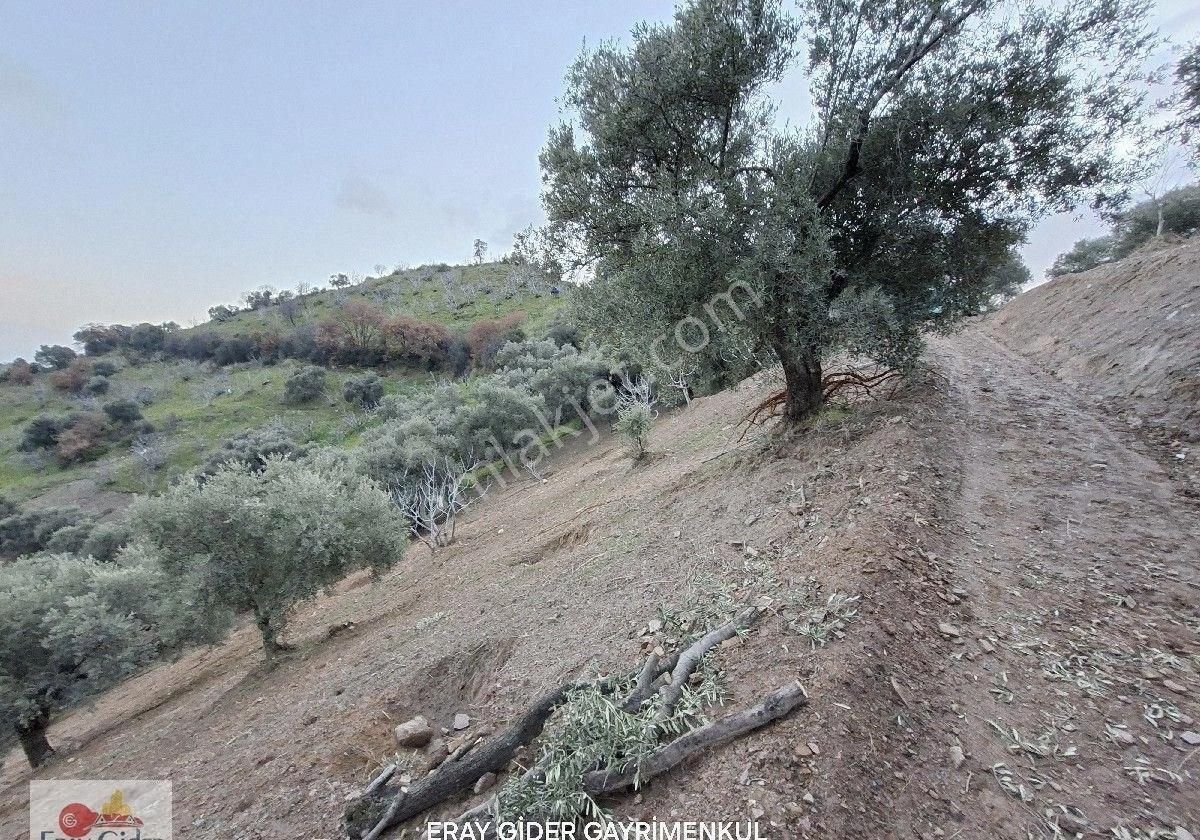 Manzaralı-komple Yol Cepheli Komple Bakımlı İncirlik - Görsel 19